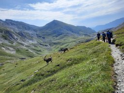 2025-07-Hochschwab_12